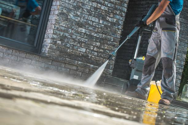Best Soft Washing  in Lofall, WA