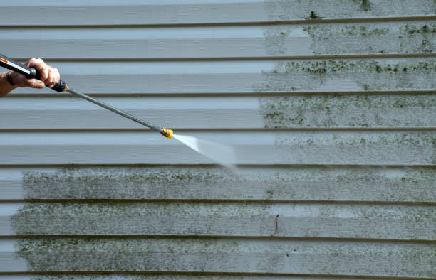 Best Roof Washing  in Lofall, WA